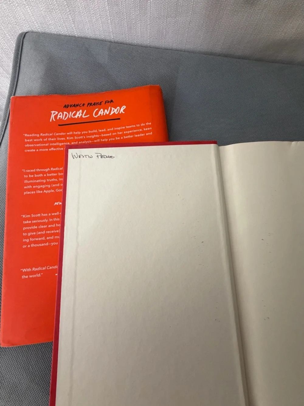 Kim Scott Radical Candor Hardcover Book Leadership Excellent Condition(F148)
